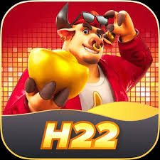  H22